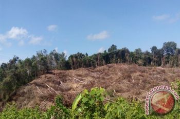Tahura Lapak Jaru Jadi Hutan Edukasi di Gumas 