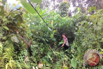 Warga Natuna Swadaya Bangun Jaringan Listrik 