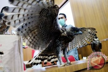 Sedikitnya 74 ekor burung langka diselundupkan ke Surabaya berhasil digagalkan