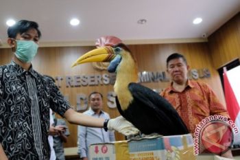PENYELUNDUPAN SATWA DILINDUNGI