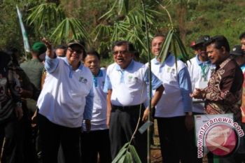 Wapres canangkan penanaman bambu  nasional di Gowa