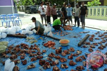 Warga Bandarlampung Diajak Berlomba-lomba Berkurban 
