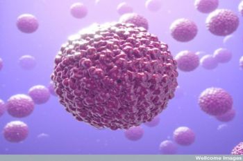 Mengenal Virus Zika dan Pencegahannya di Indonesia