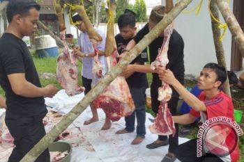 KNPI Berkurban Bukti Hadirnya Pemuda Ditengah Masyarakat 