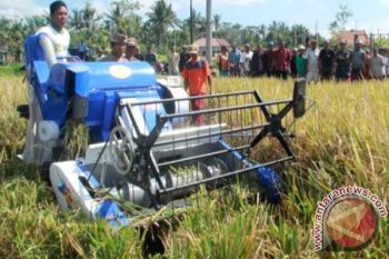 Alat Panen Padi Dibutuhkan Petani, Distanak Ini Sedang Anggarkan