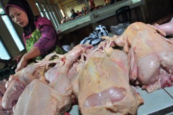Pasokan Berkurang, Harga Daging Ayam Naik 