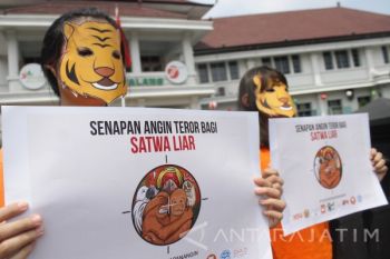 Anti Senapan Angin