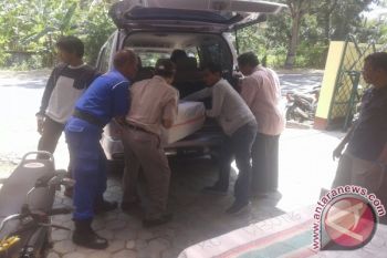 Penyelundupan Sirip Hiu Dan Koral Berhasil Digagalkan