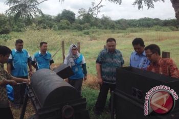 Peternak Dilatih Mengolah Pelepah Sawit Jadi Pakan Sapi