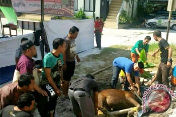 Diplan: Ibadah Kurban Sebagai Sunnah Nabi