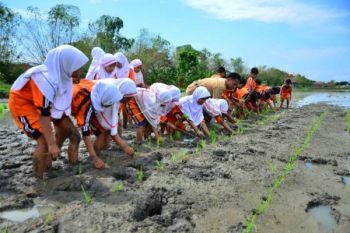 Keinginan Ganjar Jadikan Menanam Jadi Sebuah Gerakan