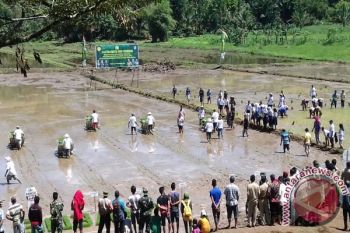 Aster Kasdam tanam padi serentak di Bolmong