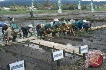 Danrem: Penanaman serentak wujudkan swasembada pangan berkelanjutan