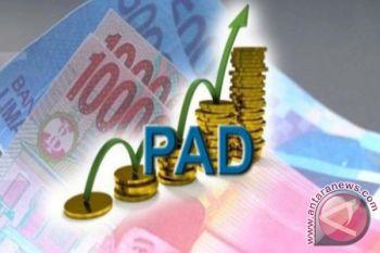 PAD Kabupaten Kuantan Singingi baru 33,52 persen