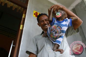 Bayi Orangutan Peliharaan Warga