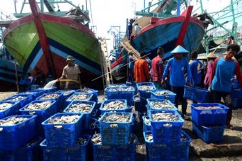 Hasil Tangkapan Nelayan di Jateng Mulai Meningkat