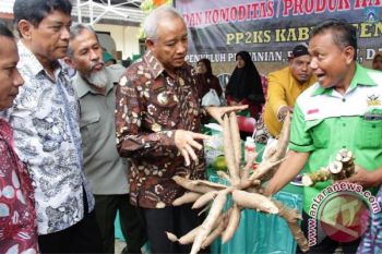 Bupati: kemandirian pangan menuju kedaulatan pangan 