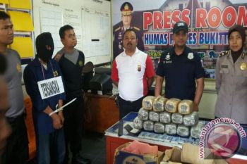 Polres Bukittinggi Tangkap Kurir Ganja 15 Kilogram 