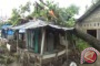 Sejumlah Pohon Di Padang Tumbang Akibat Badai
