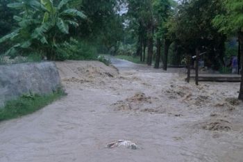 Lima Tanggul Sungai Beringin Rawan Jebol 