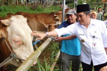 "Expo Peternakan" Perkuat Magelang sebagai Sentra Peternak Rakyat