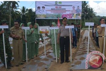Bupati Sinjai canangkan gerakan tanam serentak 