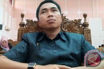 Wow! Rp1 Miliar Dianggarkan Untuk Bayar Tunggakan Honorer RSUD Pulpis