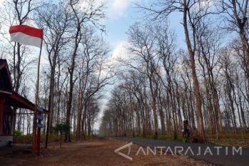 Tour de Bojonegoro untuk Promosikan Wisata "Bumi Angling Darmo" 