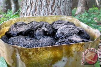 Petani karet Mesuji Lampung keluhkan harga anjlok