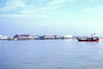 Firdaus Sesalkan Riau Tidak Punya Pelabuhan Ikan, Akibatnya...