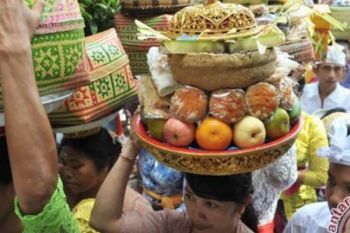 Rayakan Penampahan Galungan, Masyarakat Bali Potong Ribuan Ekor Babi 