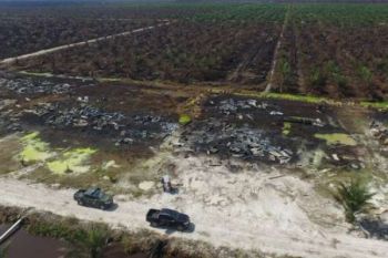 Pemkab Rohul Harapkan Warga Beraktivitas Seperti Biasa 