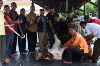 PTPN V Berbagi Daging Kurban Untuk Warga Disekitar Pekanbaru