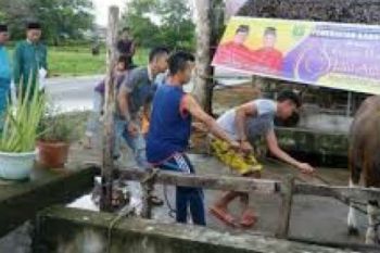 Iuran Suka Rela ASN Bengkalis Menghasilkan 90 Ekor Hewan Qurban 