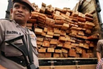 Polres Siak Amankan Truk Membawa Kayu Ilegal