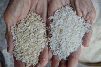 Ganjar: Kualitas Raskin Mestinya Naik ke Medium