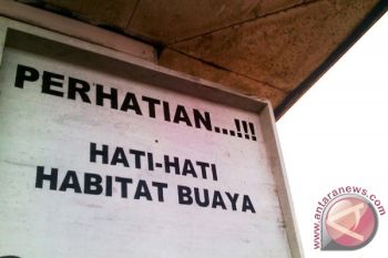 Gawat! Predator Ganas Kembali Resahkan Masyarakat Sampit
