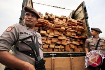 Polisi Amankan Puluhan Kubik Kayu Ilegal 