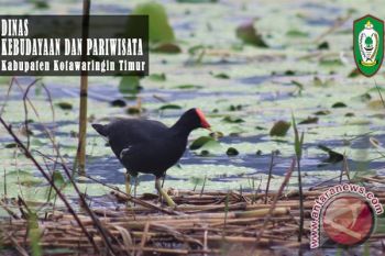 Sangat Disayangkan! Objek Wisata Danau Burung Belum Dioptimalkan Dan Butuh Perhatian Khusus