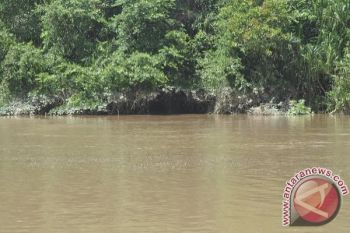 Benarkah Pulau Mintin Dijaga Seekor Naga?