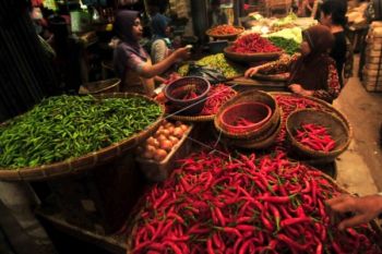 Diguyur Hujan, Harga Cabai Melonjak