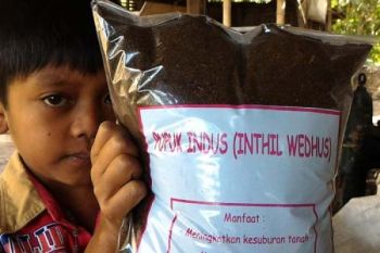 KAS Dorong Kelurga Wujudkan Solidaritas Pangan