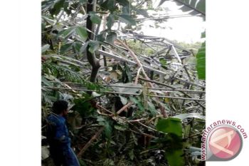 Tower SUTT PLTMG Bangkanai Roboh, Warga Barut Kena Pemadaman Bergilir Kembali
