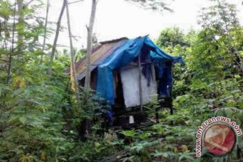 Ayo Dinas Sosial Cepat Bantu Tarzan Bahaur