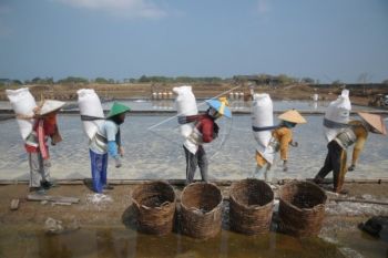 Cuaca Tak Mendukung, Petani Garam Jepara Berhenti Produksi