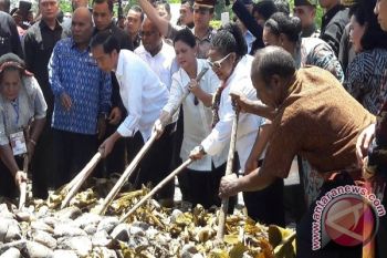 Presiden hadiri "Bakar Batu" di Yahukimo Papua