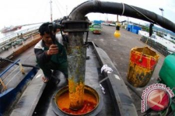 Berkontribusi positif, potensi bioenergi perlu disosialisasikan ke masyarakat
