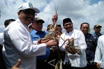 Wagub Jatim Potong Tumpeng "Selamatan Laut" Bawean