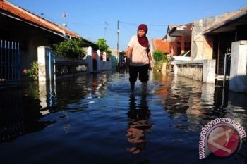 Wawali Kota Semarang Prihatin masih Ada Warganya Terkurung Rob