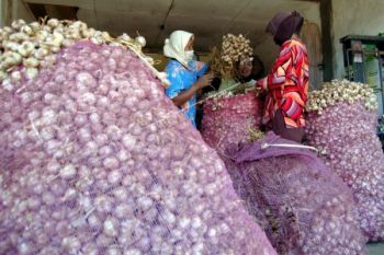 Di Pasar Johar Semarang, Bawang Putih Impor Lebih Diminati